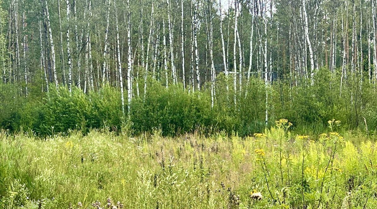 земля р-н Всеволожский массив Белоостров снт Осинка Сертоловское городское поселение, 11-я линия фото 29