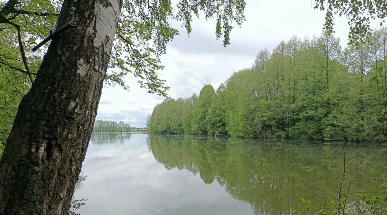 дом р-н Рязанский с Кораблино ул Введенская 15а Вышгородское с/пос, Кораблино-Парк кп фото 24