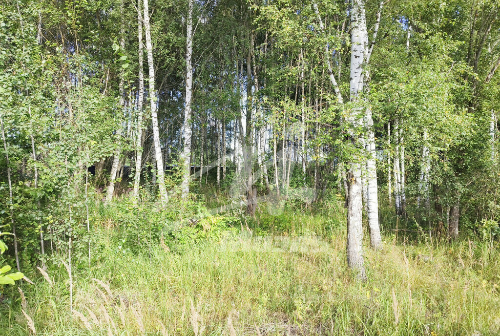 земля городской округ Клин д Мужево фото 10