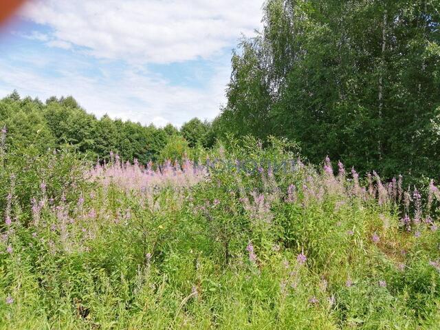 с Новинки ул Лесная Беловско-Новинский сельсовет, Чкаловск фото