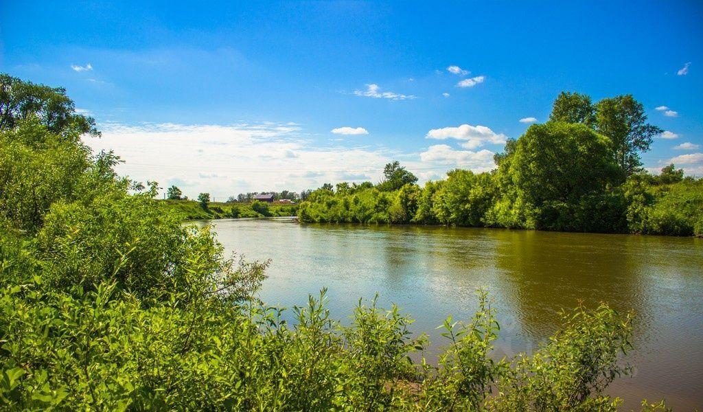 земля р-н Пестречинский с Пестрецы ул Дачная Кулаевское сельское поселение, Мёшинские усадьбы фото 14