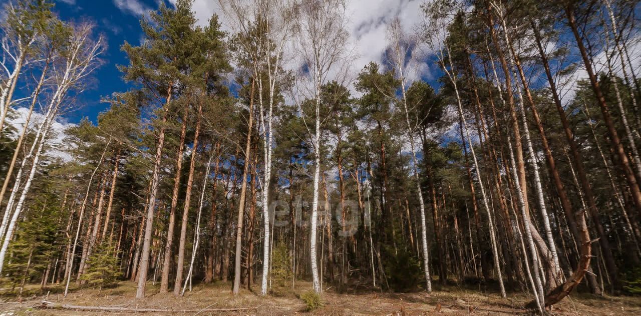 дом р-н Калининский д Крупшево Каблуковское с/пос фото 14