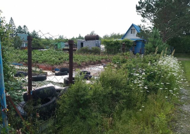 снт Энтузиаст Еврейская автономная обл., Приамурский фото