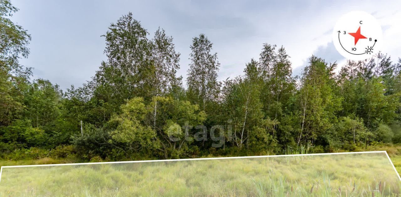 земля р-н Хабаровский с Мирное фото 1