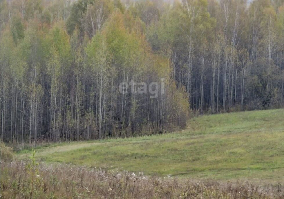 земля р-н Кемеровский д Солонечная фото 5