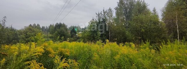 Богашёвское сельское поселение, садовое товарищество Ветеран фото