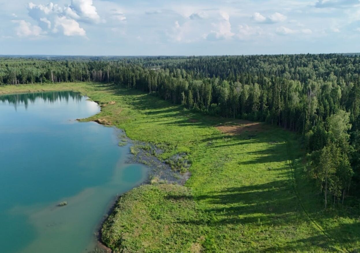 земля городской округ Дмитровский д Медведково 9757 км, Икша, Рогачёвское шоссе фото 6