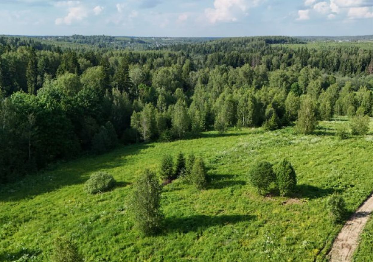 земля городской округ Дмитровский д Медведково 9757 км, Икша, Рогачёвское шоссе фото 10