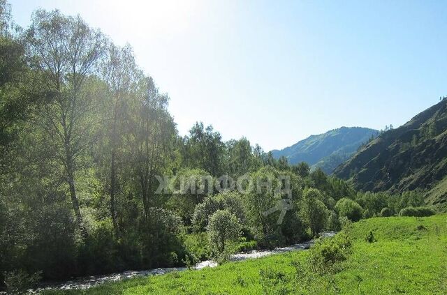 земля ул Алтайская фото