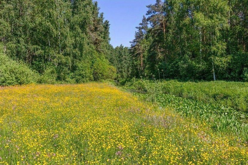 земля городской округ Ступино д Шелково фото 8