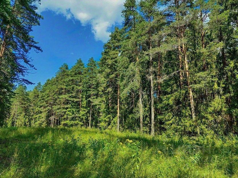 земля городской округ Ступино д Шелково фото 10