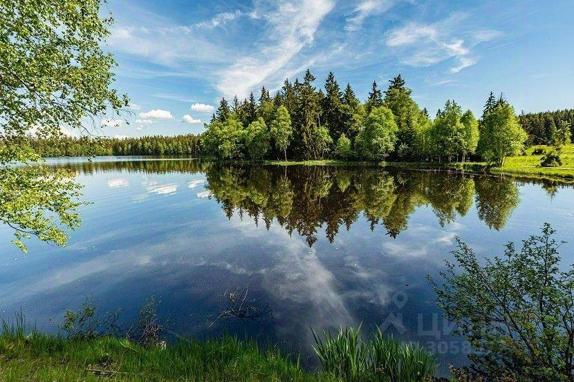 земля городской округ Ступино д Шелково фото 9