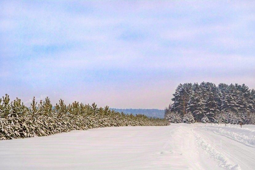 земля городской округ Ступино д Шелково фото 15