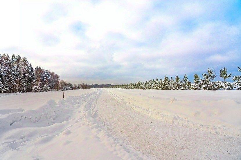 земля городской округ Ступино д Шелково фото 13