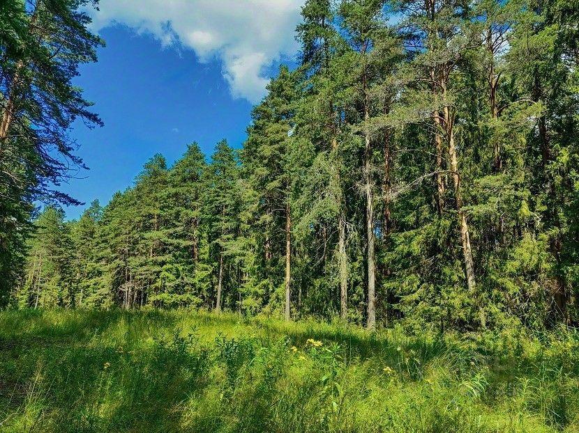 земля городской округ Ступино д Горки ул Лесная Михнево фото 10