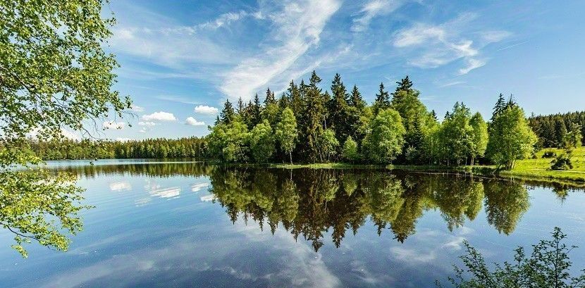 земля городской округ Ступино д Шелково фото 9