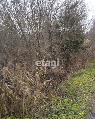 Тосненское городское поселение, массив Рубеж, садоводческое некоммерческое товарищество Плёс-2, 233 фото