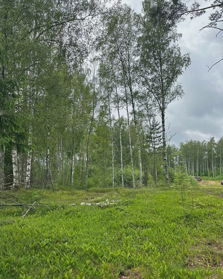 земля р-н Всеволожский снт Защита Токсовское городское поселение, Токсово фото 6