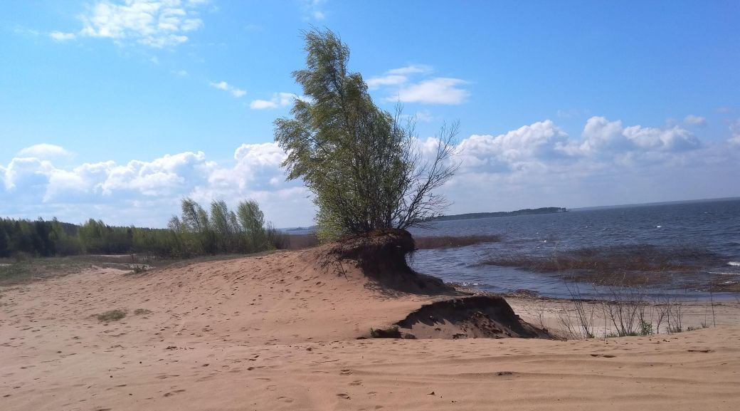 земля р-н Рыбинский д Ларионово с пос, Глебовское фото 14