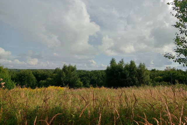 земля городской округ Переславль-Залесский фото