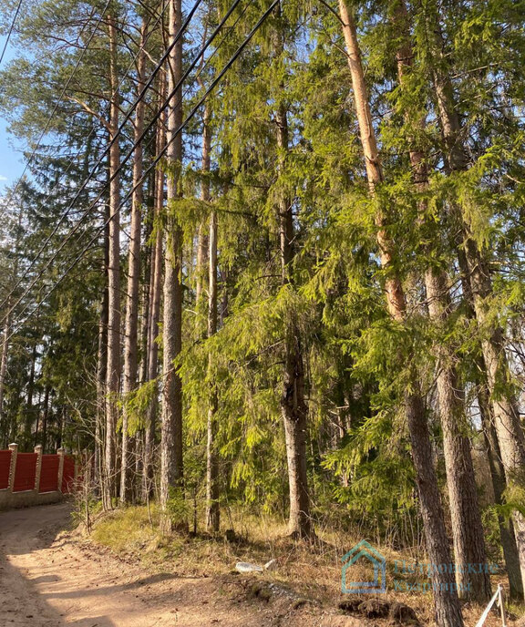 дом р-н Приозерский п Васильево ул Озерная 29 фото 26