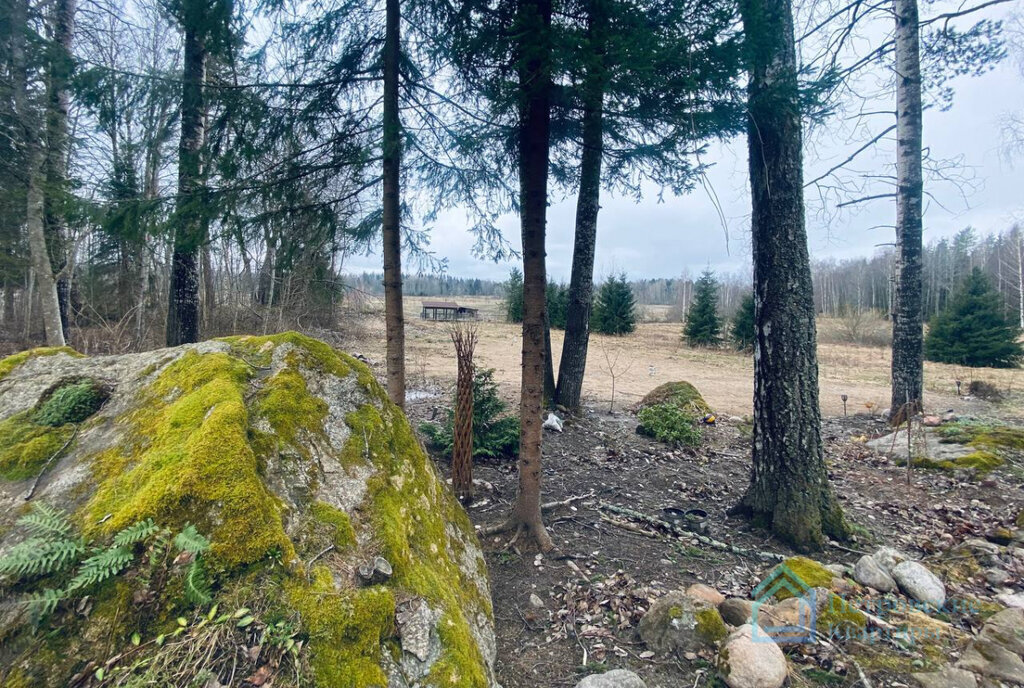 дом р-н Приозерский п Васильево ул Озерная 29 фото 30