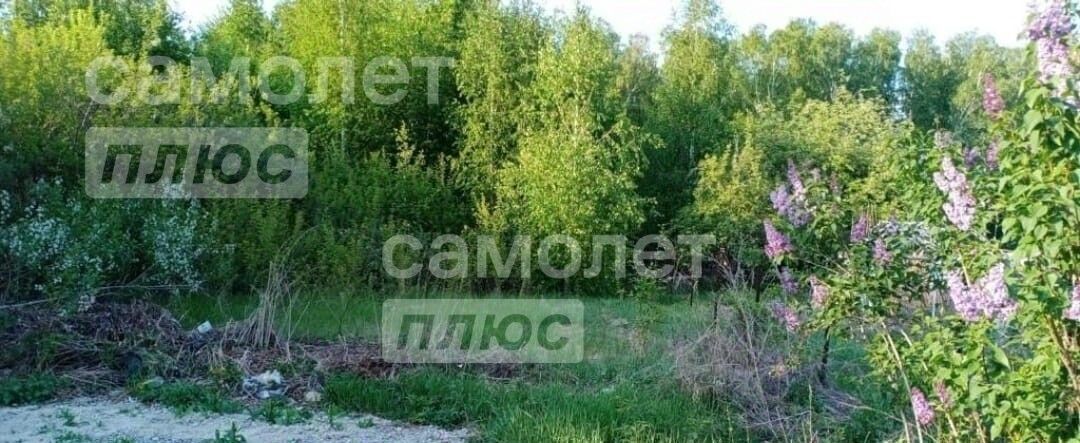 земля г Копейск снт Курочкино-2 фото 4