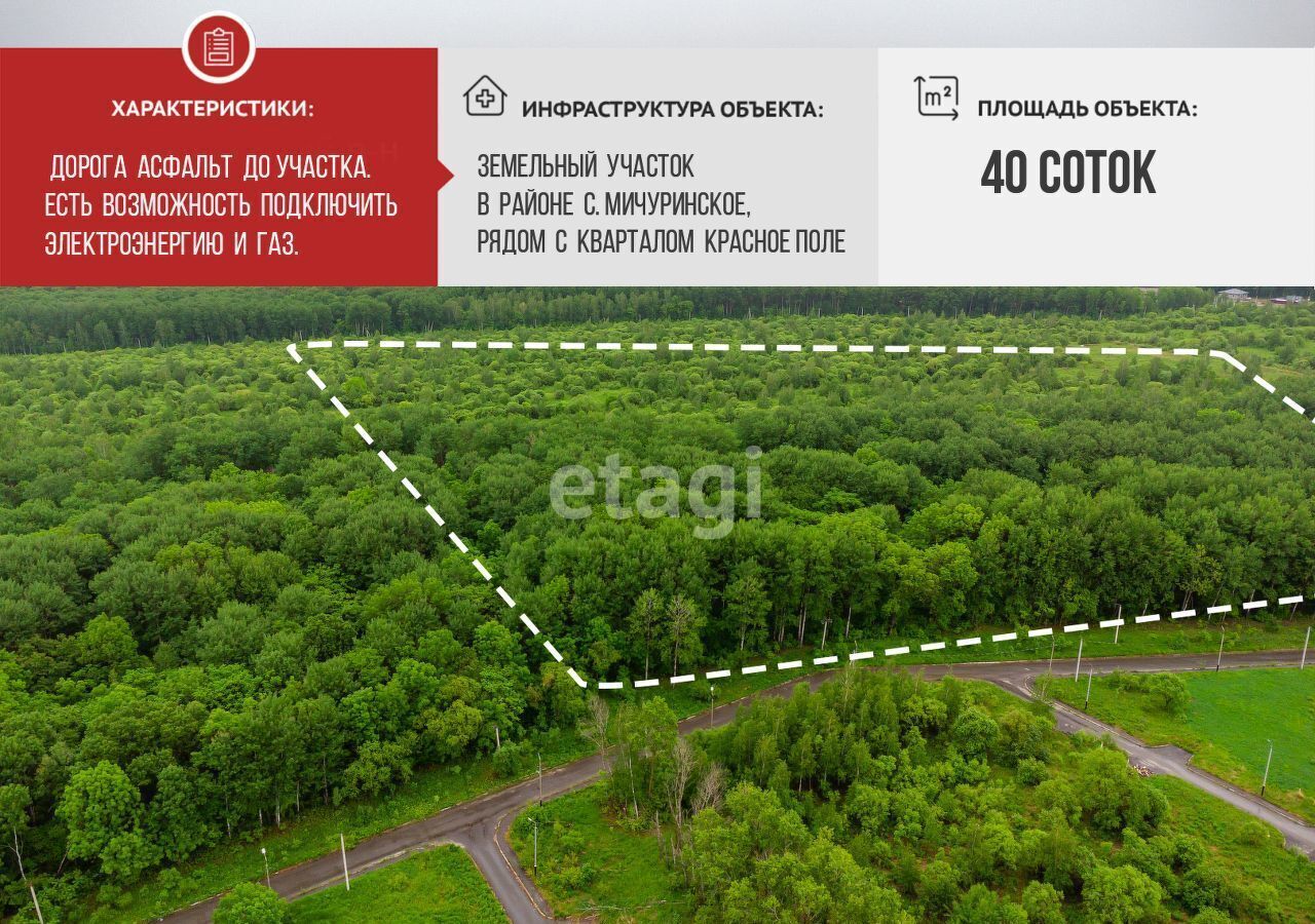 земля р-н Хабаровский с Мичуринское ул Центральная Мичуринское сельское поселение, Хабаровск фото 1