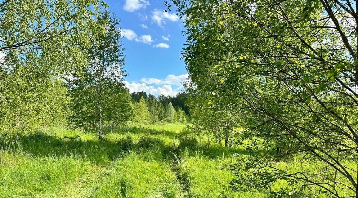 земля городской округ Чехов д Хлевино Чеховские Дворики кп фото 4