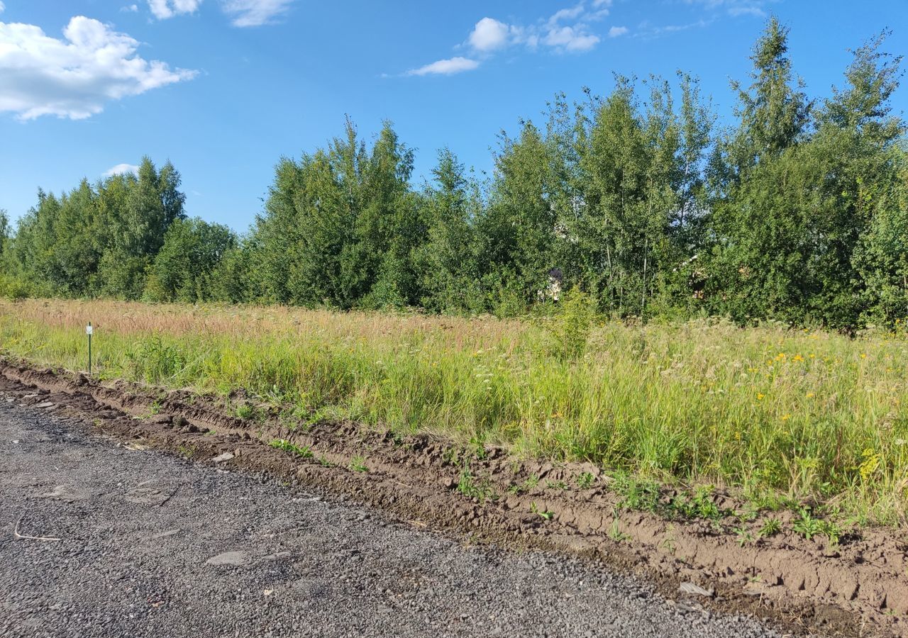 земля городской округ Раменский д Морозово Бронницы фото 4