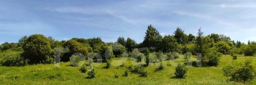 земля р-н Богородицкий с Папоротка Бахметьевское муниципальное образование фото 13