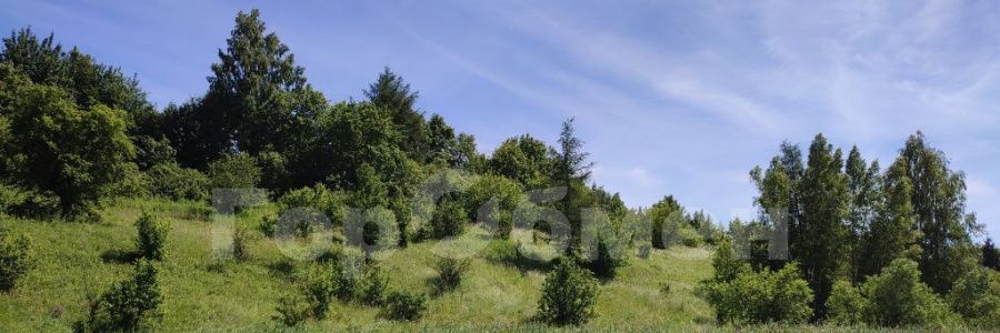 земля р-н Богородицкий с Папоротка Бахметьевское муниципальное образование фото 48