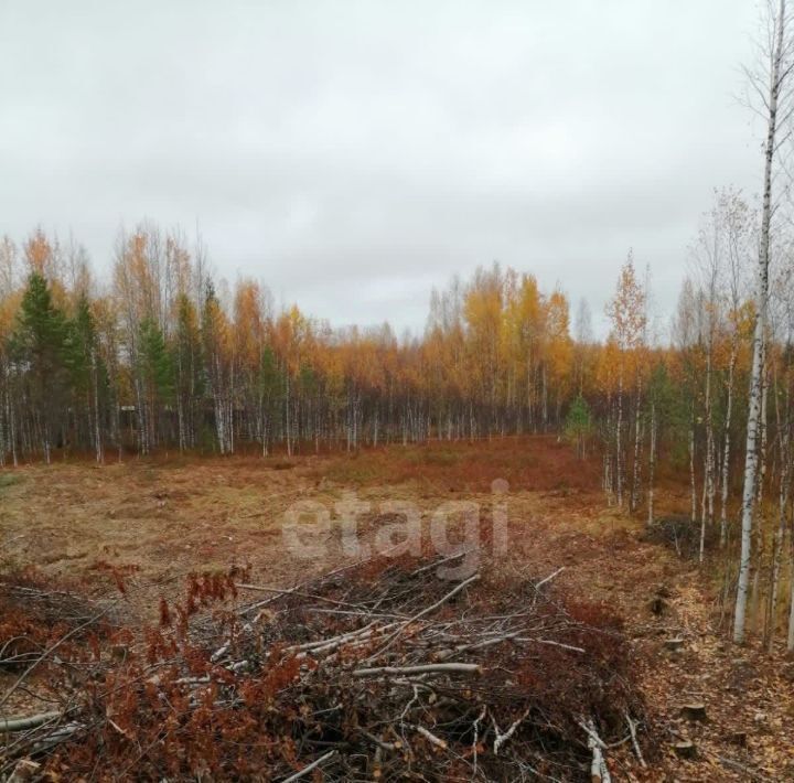 земля г Ханты-Мансийск снт Виктория СОНТ, 2 фото 3