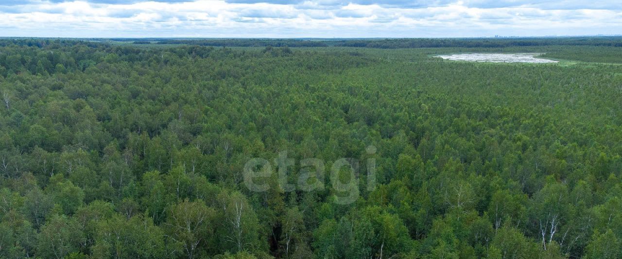 земля р-н Нижнетавдинский снт Геолог-2 фото 10