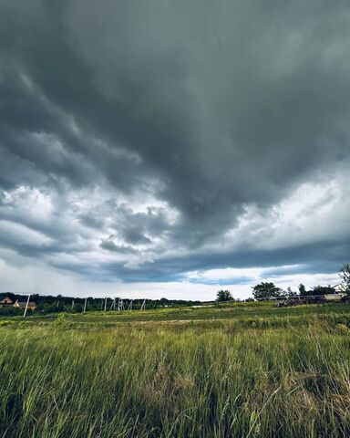 ул Лесная 96 км, Луховицы, г. о. Коломна, Новорязанское шоссе фото