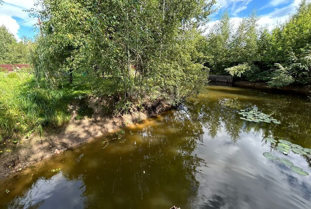 земля городской округ Орехово-Зуевский д Кудыкино фото 10