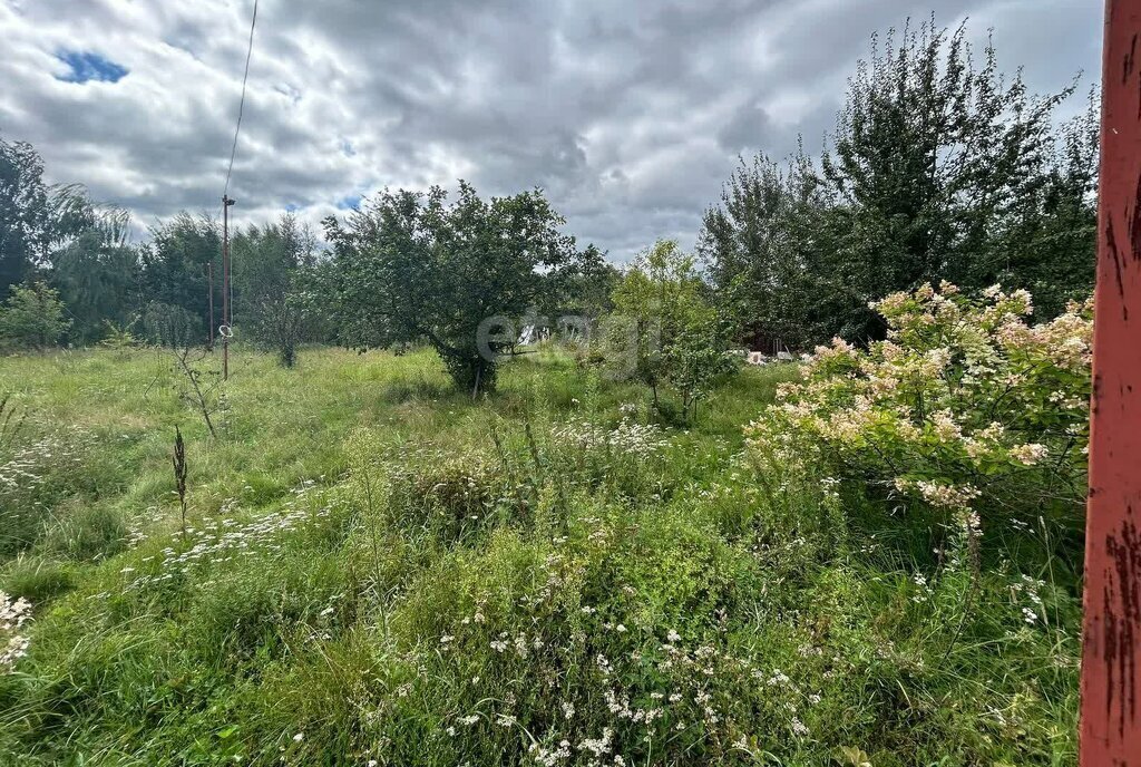 земля городской округ Орехово-Зуевский д Кудыкино фото 19