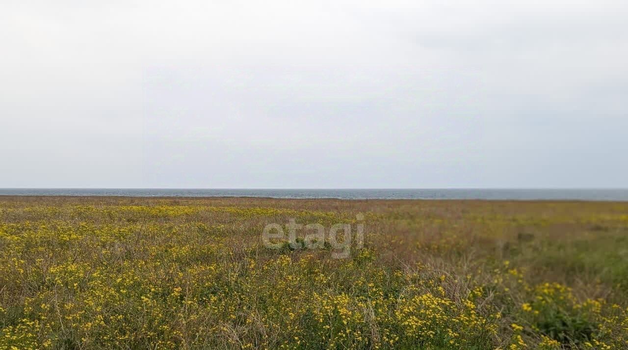 земля р-н Черноморский с Окуневка ул Крупской фото 1