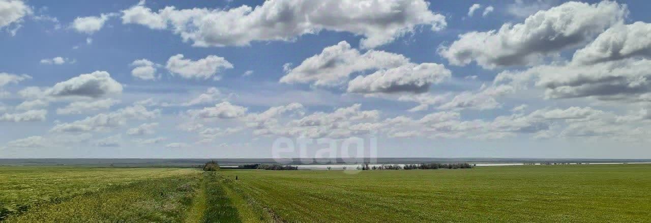 земля р-н Черноморский с Межводное ул Джарылгачская фото 4