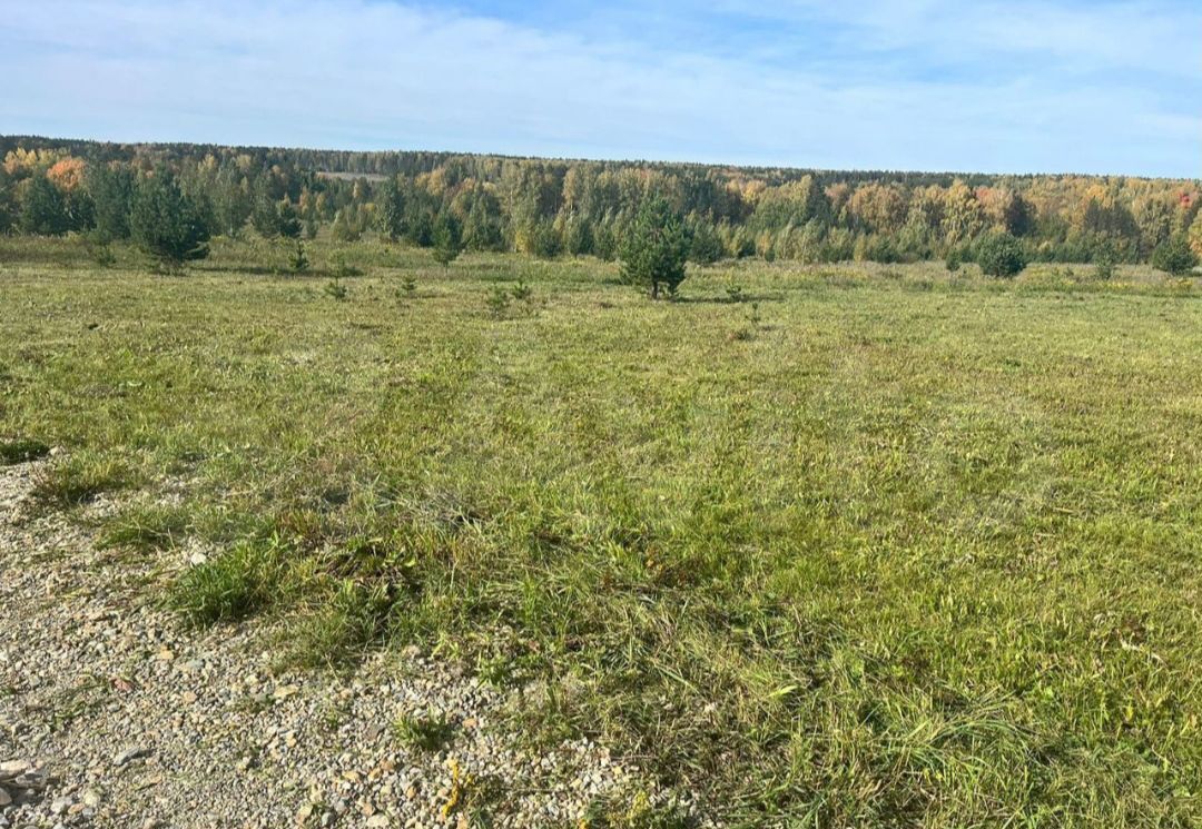 земля г Березовский п Становая р-н Полевой Екатеринбург фото 1