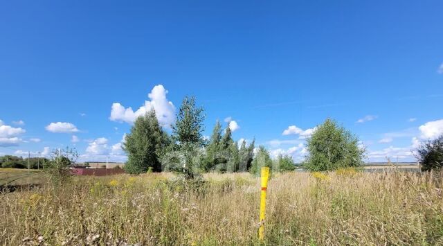 д Гурьево ул Дачная Центральное муниципальное образование фото