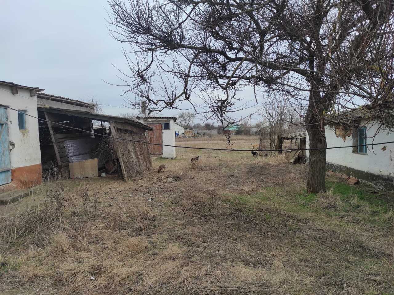 дом р-н Раздольненский с Чернышево ул Бабушкина 11 фото 13