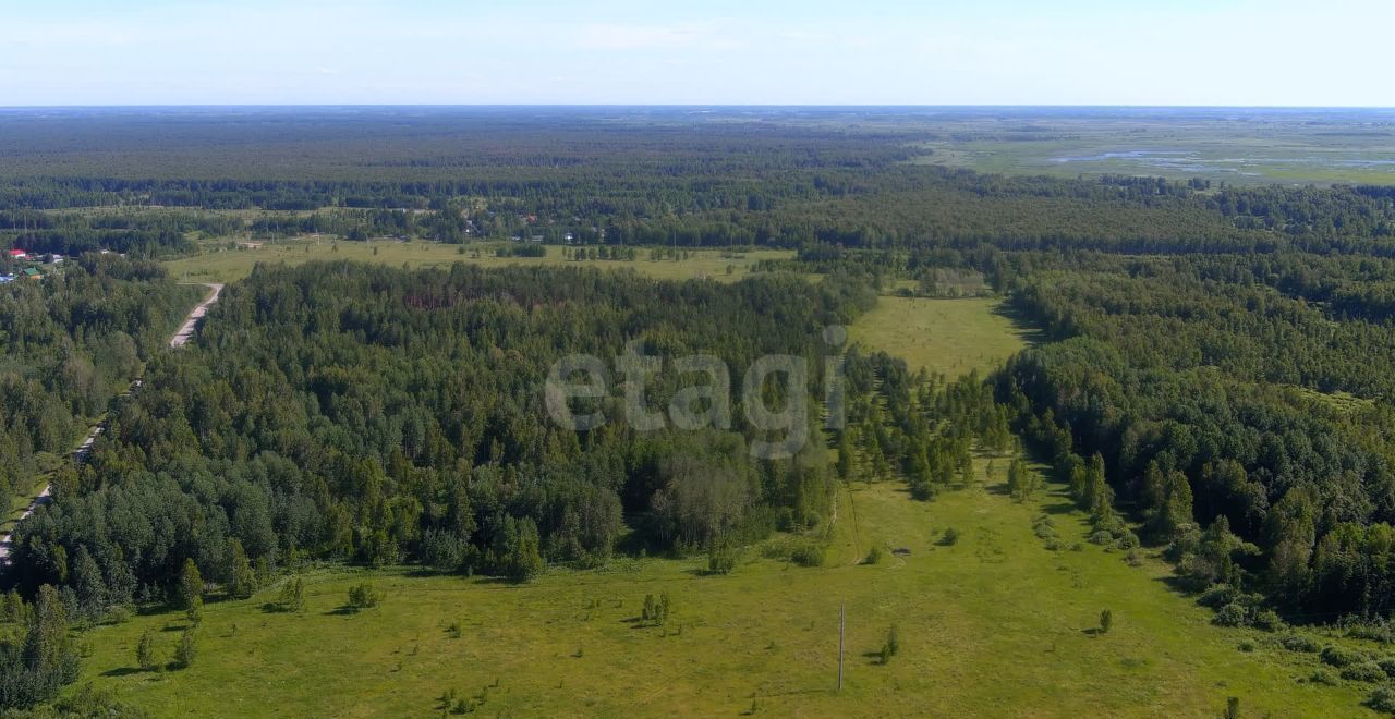 земля р-н Нижнетавдинский п Торгили Каскара фото 4