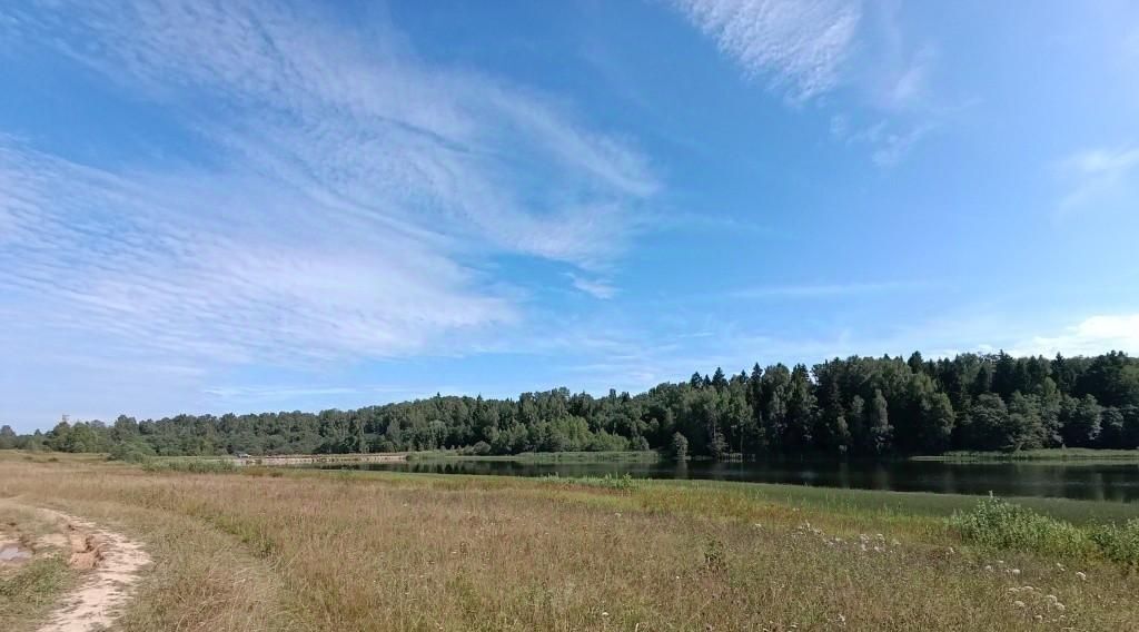 офис городской округ Шаховская Степаньковские Дачи тер фото 1