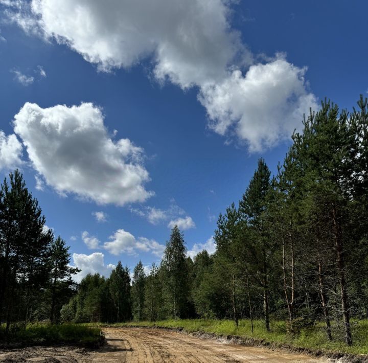 земля р-н Всеволожский Колтушское городское поселение, Мечта-3 кп фото 10