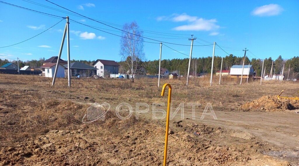 земля р-н Нижнетавдинский с Тюнево ул Сибирская фото 3