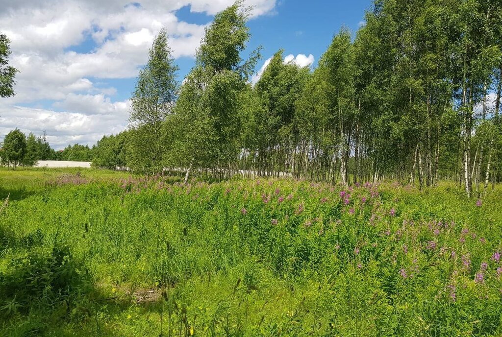 земля городской округ Дмитровский д Елизаветино фото 29