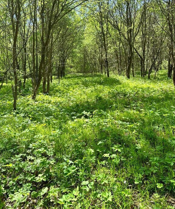 земля городской округ Серпухов д Дернополье фото 13