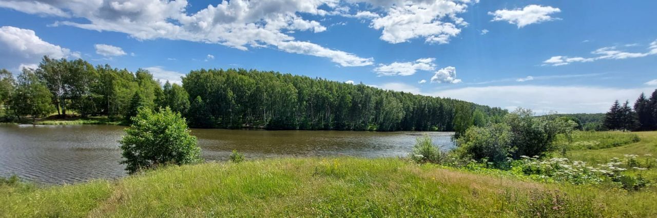 земля р-н Богородский д Килелей улица Карла Маркса, Буревестник фото 10