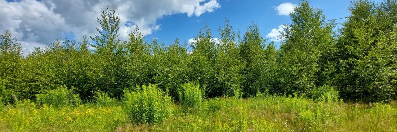 земля р-н Богородский д Килелей улица Карла Маркса, Буревестник фото 5